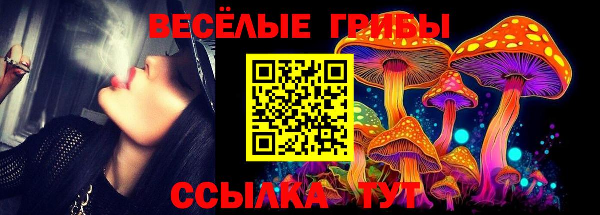 Псилоцибиновые грибы мицелий  Вход с VPN  Москва 
